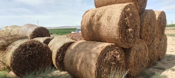 Jute Bale Netting
