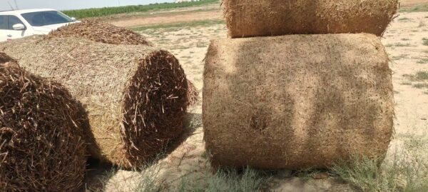 Jute Bale Netting