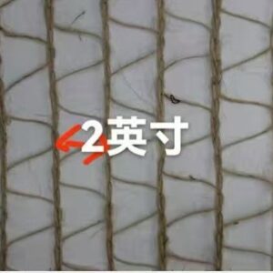 微信图片_2025-08-18_154521_098