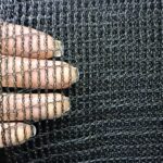 Knitted bird net