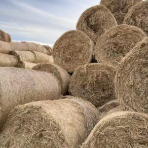 Bale Net Warp