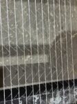 Bale Net Warp