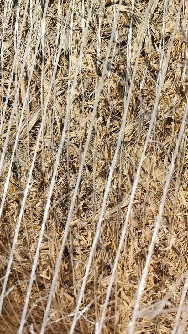 Bale Net Warp