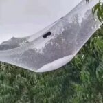 Hail Netting