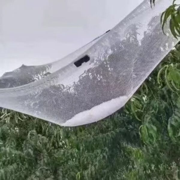 Hail Netting